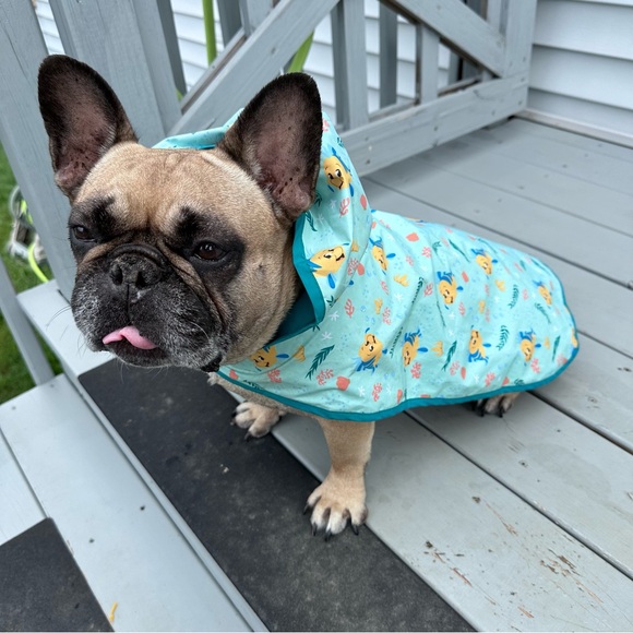 Disney X Chewy | Lightweight Flounder Print Dog & Cat Raincoat | Size Large - Picture 2 of 11